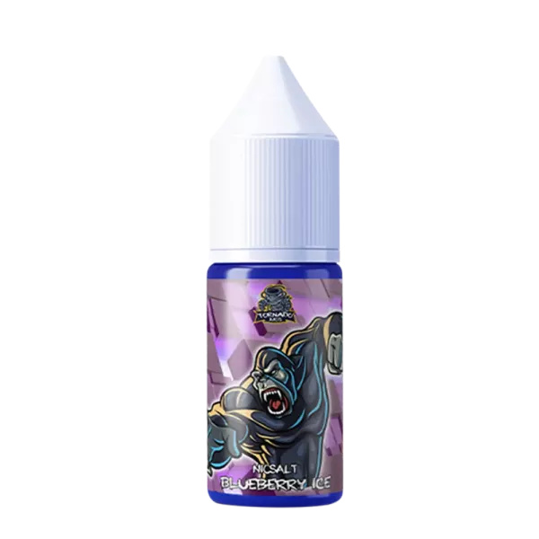 Blueberry Ice - 10ml Nikotinsalz Liquid 20mg/ml