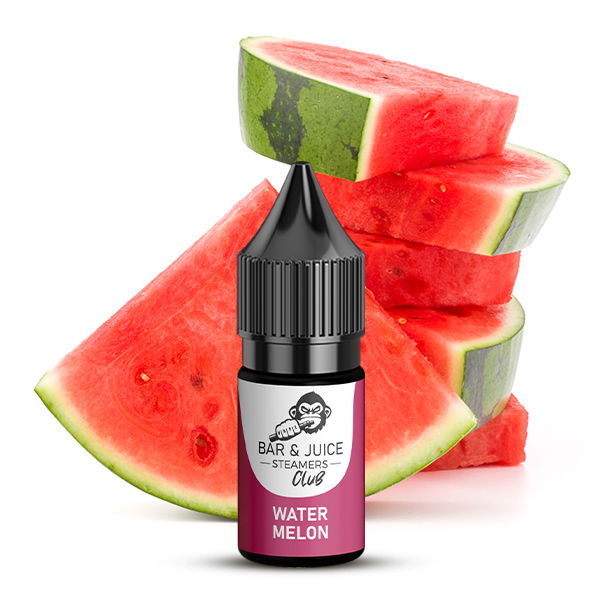 Wassermelone - 10ml Hybrid-Nikotinsalz-Liquid